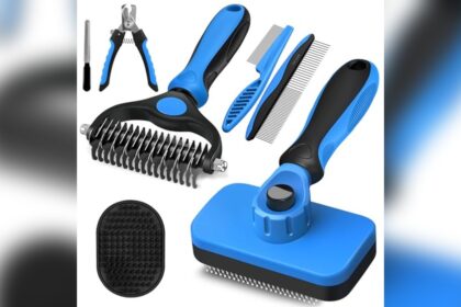 Best Cat Grooming Kit for Beginners