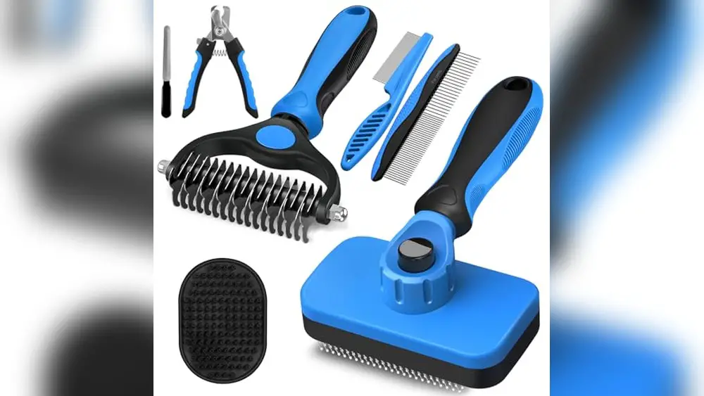 Best Cat Grooming Kit for Beginners