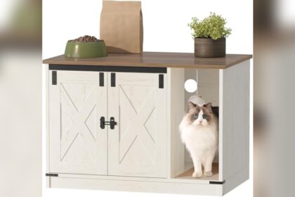 Best Cat Litter Box Furniture Hidden