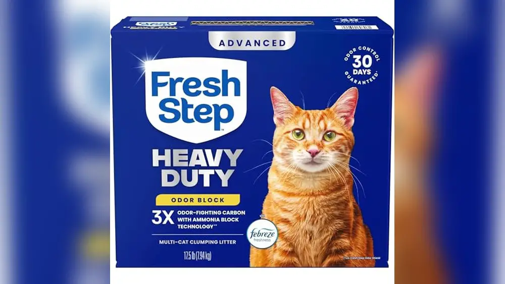 Best Cat Litter for Odor Control Strong