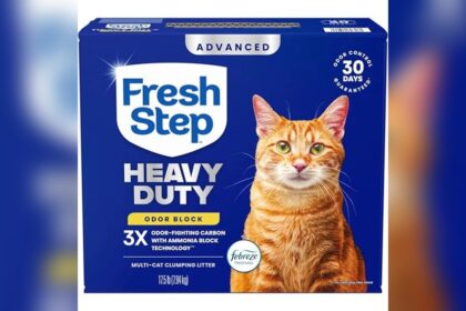 Best Cat Litter for Odor Control Strong