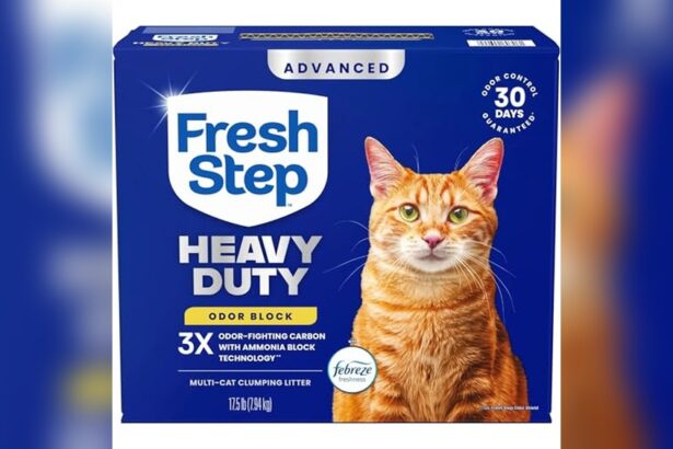 Best Cat Litter for Odor Control Strong