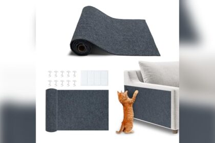 Best Cat Scratching Post to Save Furniture