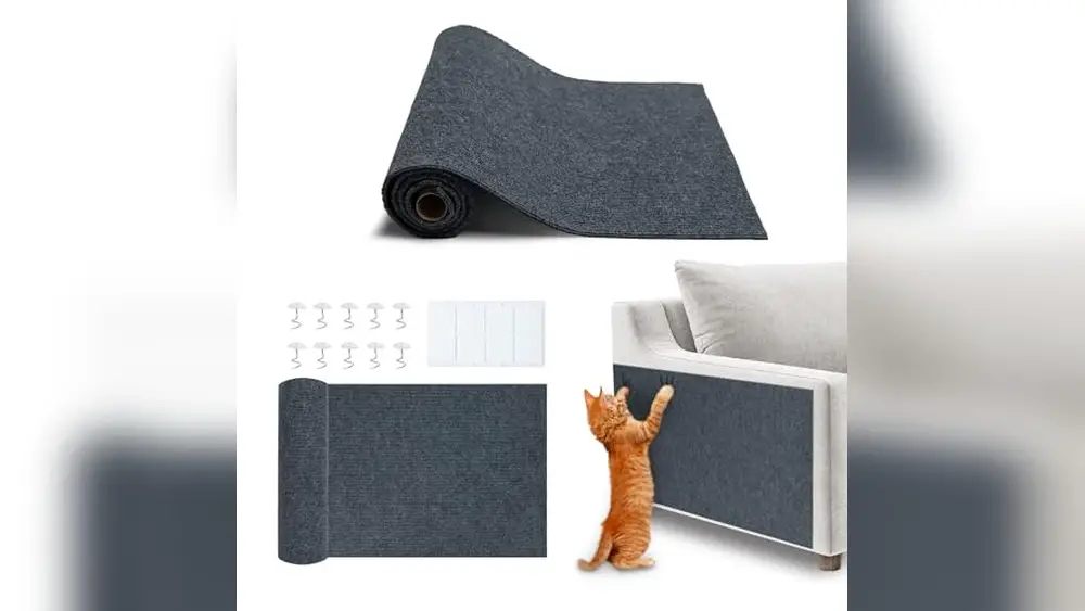 Best Cat Scratching Post to Save Furniture