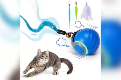 Best Cat Toys for Bored Indoor Cats