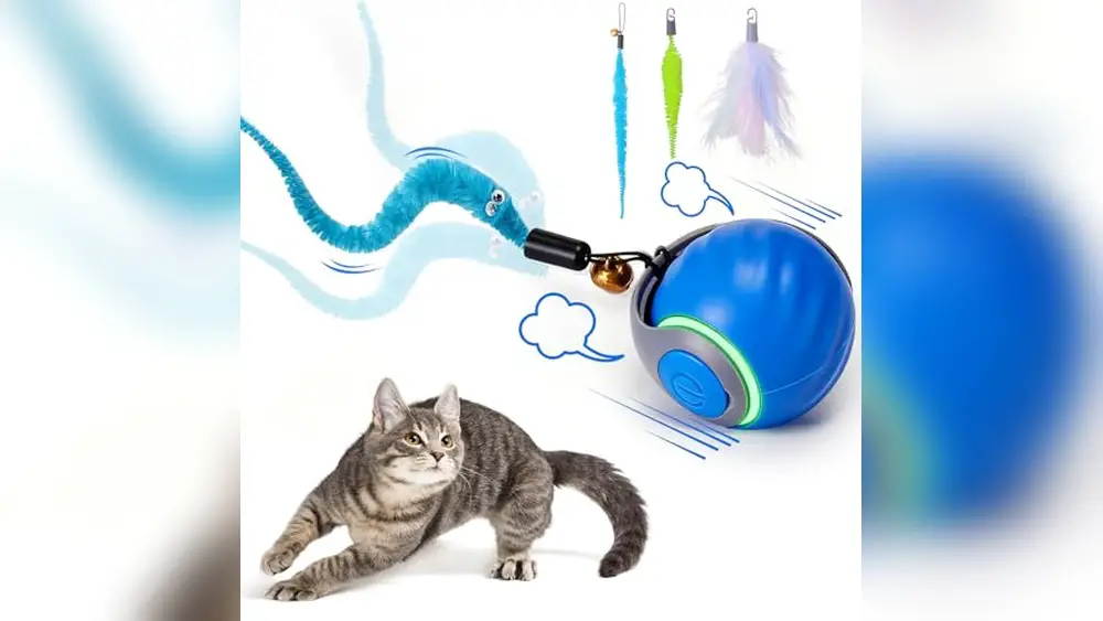 Best Cat Toys under $20 Interactive