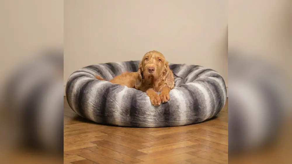 Best Dog Bed for Anxiety Calming Effect