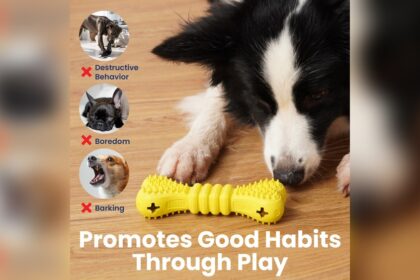 Best Dog Chew Toys to Stop Destructive Behavior