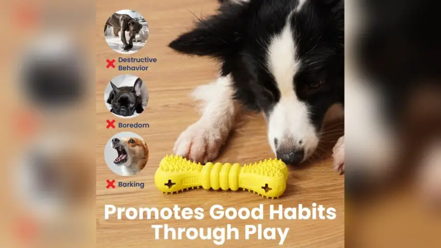 Best Dog Chew Toys to Stop Destructive Behavior
