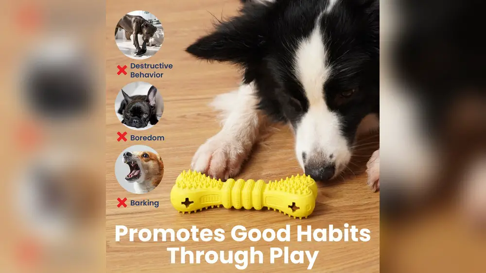 Best Dog Chew Toys to Stop Destructive Behavior