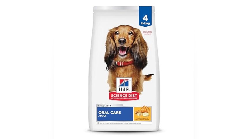 Best Dog Food for Bad Breath