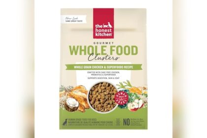 Best Dog Food for Basset Hound