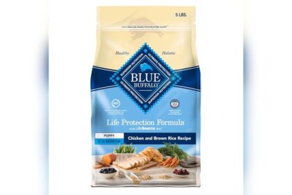 Best Dog Food for Basset Hound Puppies