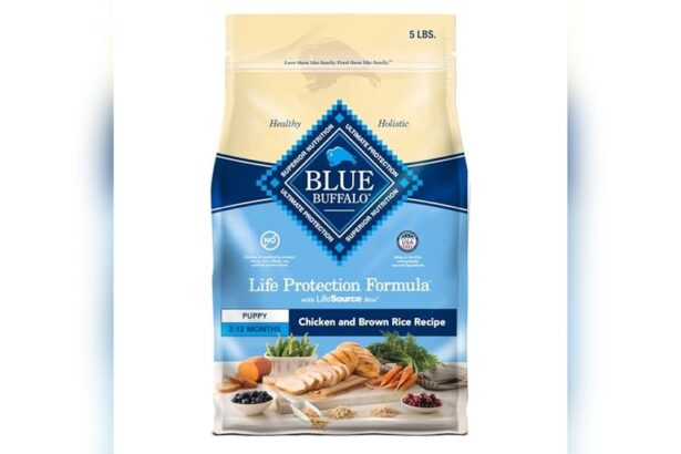 Best Dog Food for Basset Hound Puppies