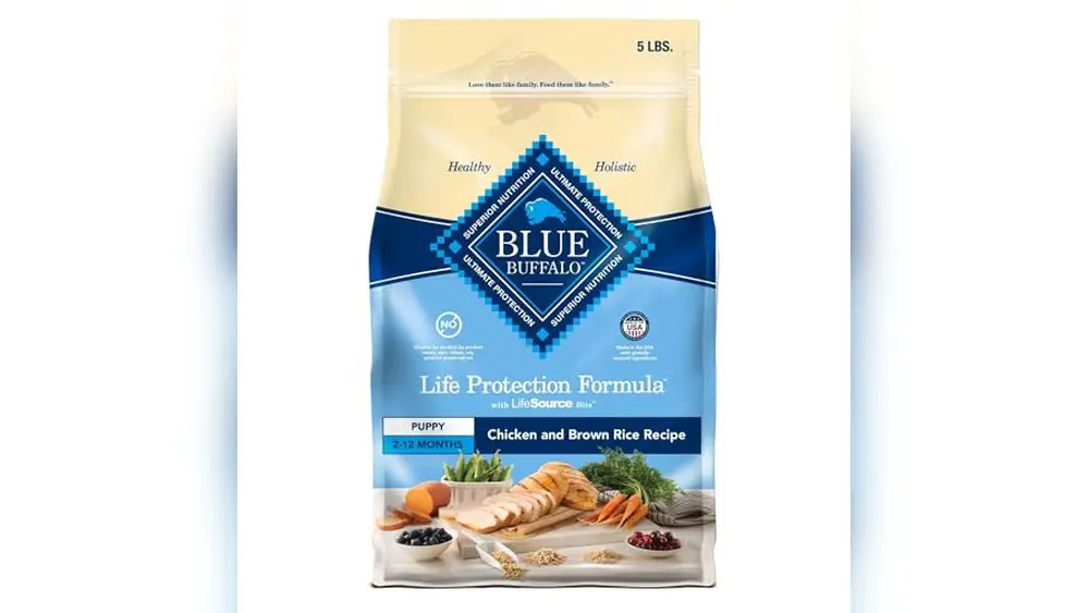 Best Dog Food for Basset Hound Puppies