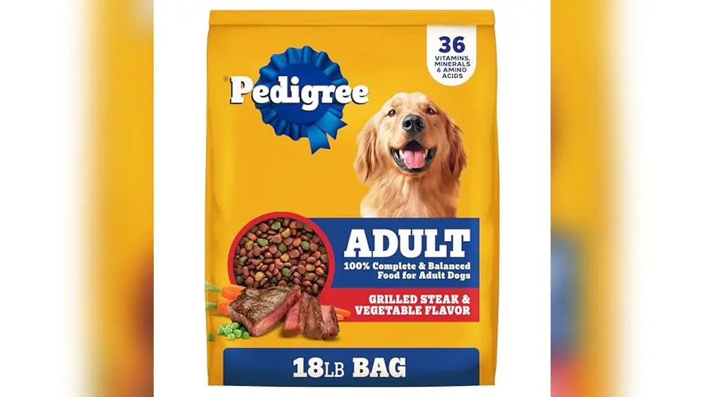 Best Dog Food for Bernedoodle