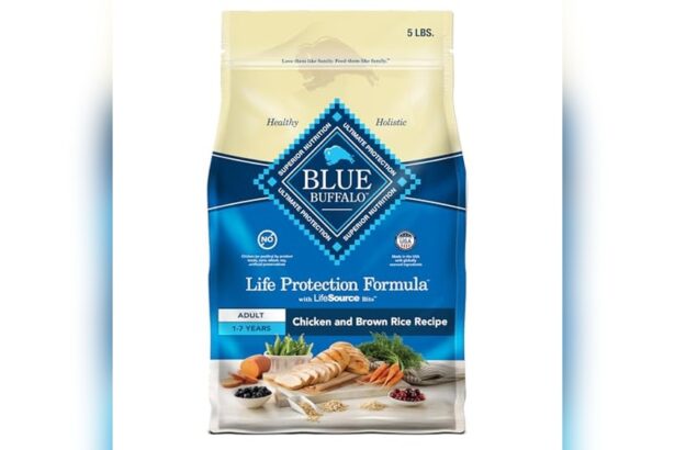 Best Dog Food for Bernedoodles