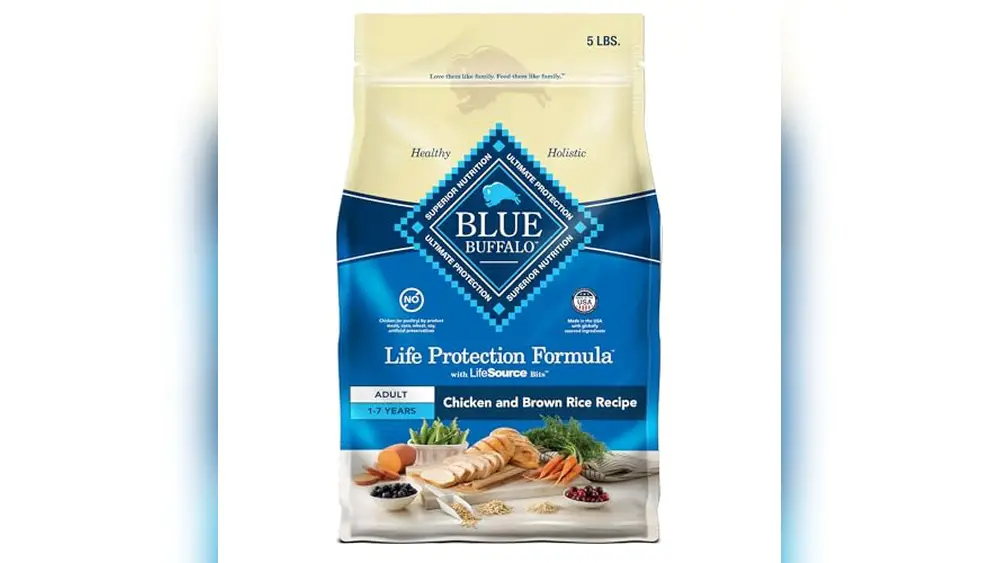 Best Dog Food for Bernedoodles