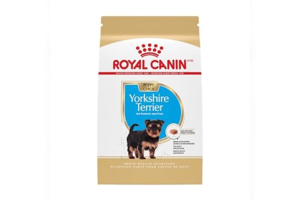 Best Dog Food for Boston Terrier Puppies