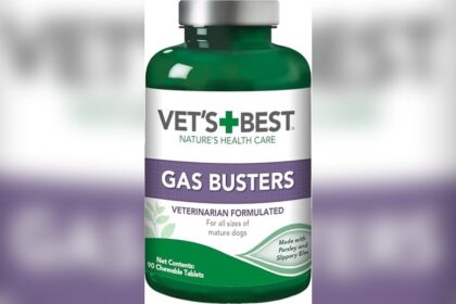 Best Dog Food for Boxers With Gas