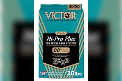 Best Dog Food for Cane Corso