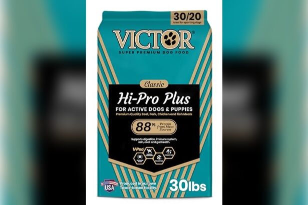 Best Dog Food for Cane Corso