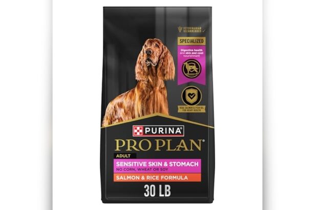 Best Dog Food for Cane Corso With Sensitive Stomach