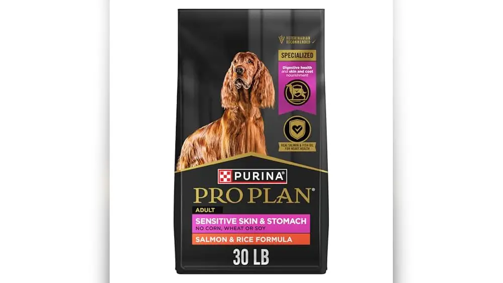 Best Dog Food for Cane Corso With Sensitive Stomach