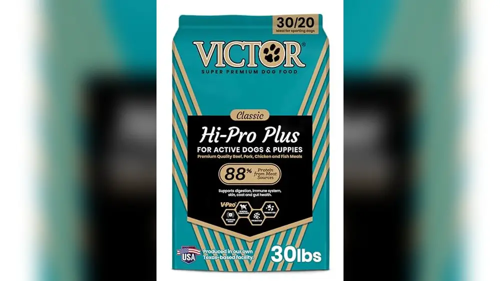 Best Dog Food for Cane Corso