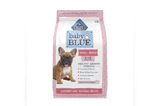 Best Dog Food for Cavapoo Puppy