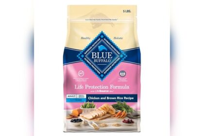 Best Dog Food for Coonhounds