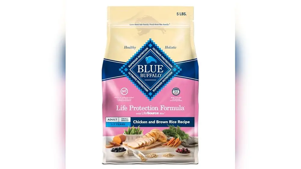 Best Dog Food for Coonhounds