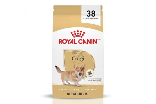 Best Dog Food for Corgi