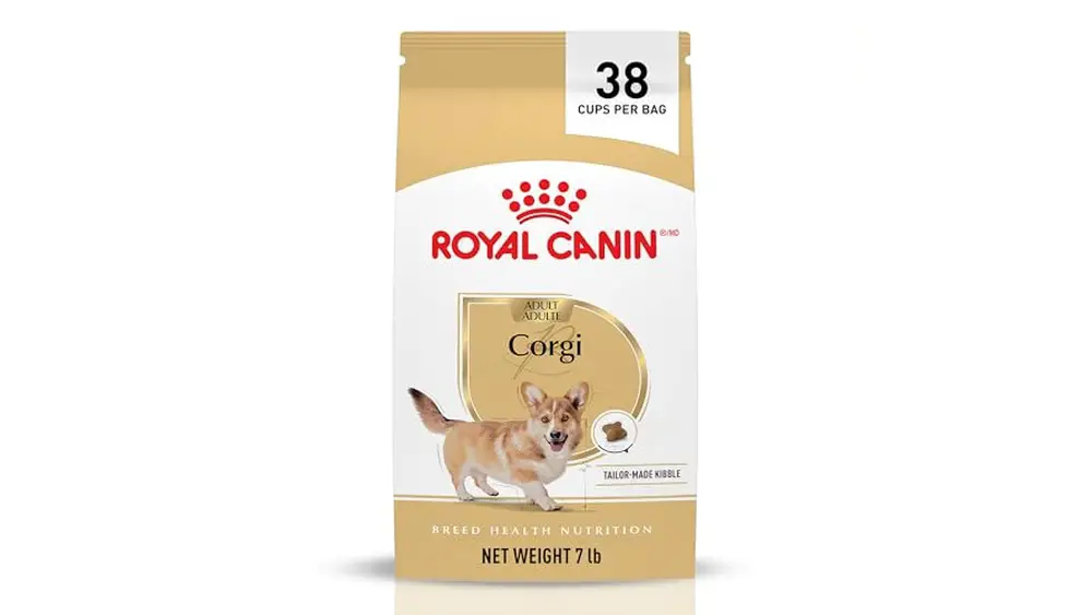 Best Dog Food for Corgi