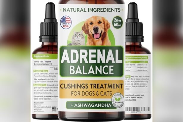 Best Dog Food for Cushing'S Disease