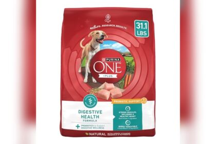 Best Dog Food for Digestion