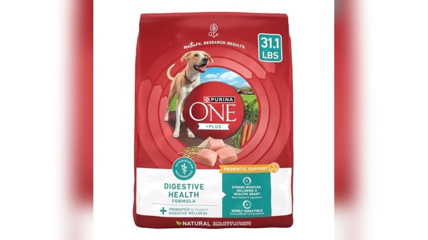 Best Dog Food for Digestion