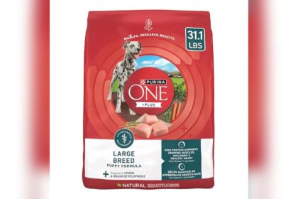 Best Dog Food for Doberman Puppy