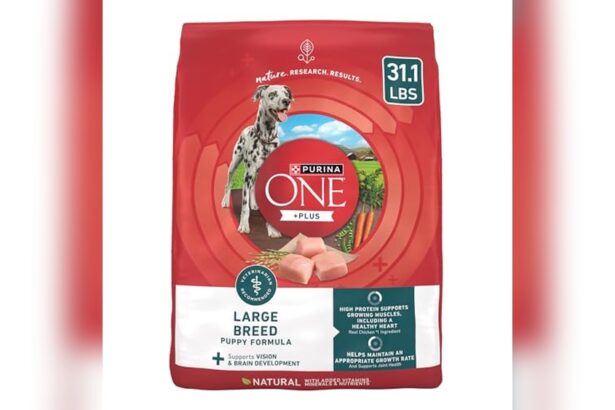 Best Dog Food for Doberman Puppy