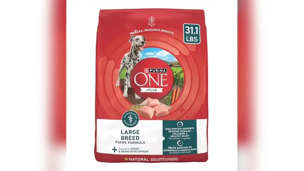 Best Dog Food for Doberman Puppy