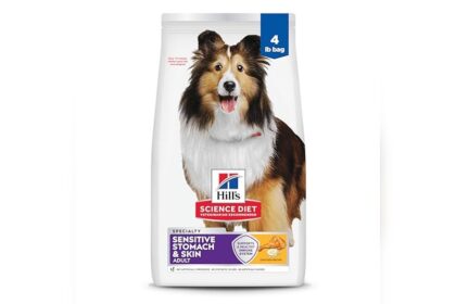 Best Dog Food for Dogs With Acid Reflux