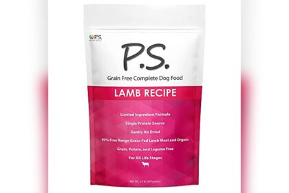 Best Dog Food for Dogs With Epilepsy