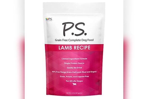 Best Dog Food for Dogs With Epilepsy