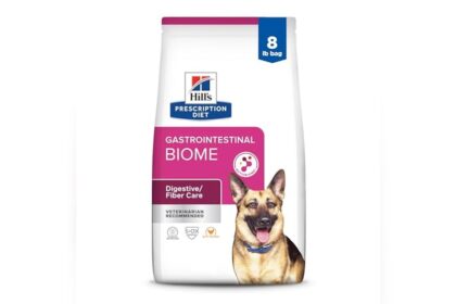 Best Dog Food for Gastrointestinal Issues