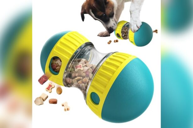 Best Dog Food for Hyper Dogs