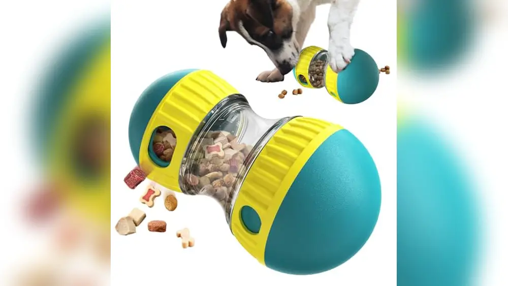 Best Dog Food for Hyper Dogs