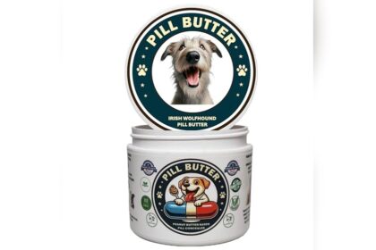 Best Dog Food for Irish Wolfhounds