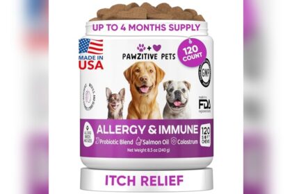 Best Dog Food for Itchy Paws