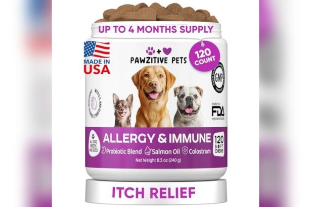 Best Dog Food for Itchy Paws