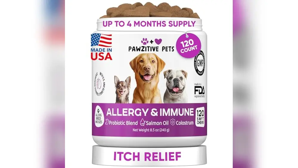 Best Dog Food for Itchy Paws